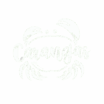 295